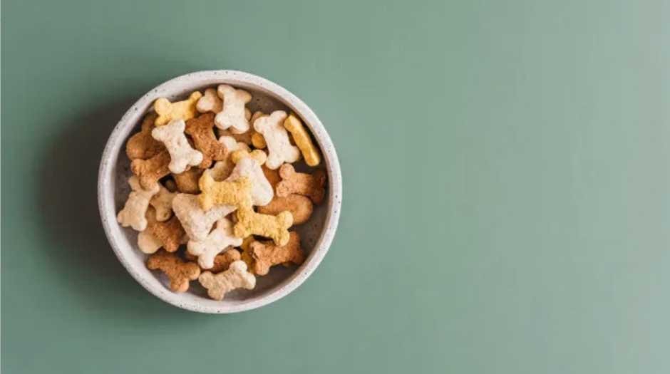 Save More and Keep Tails Wagging with Large Quantity Dog Treats